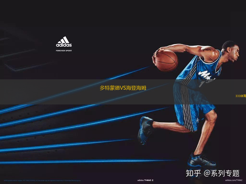 多特蒙德VS海登海姆