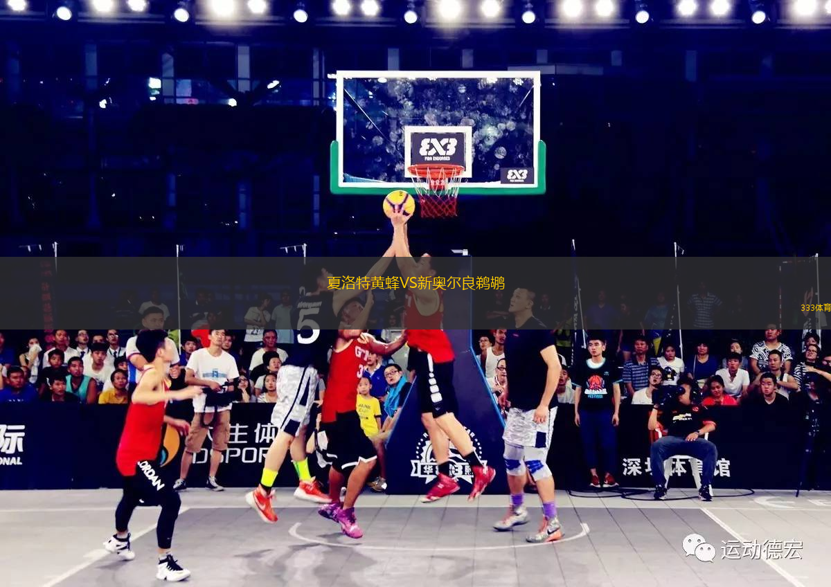 夏洛特黄蜂VS新奥尔良鹈鹕