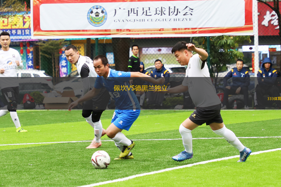 佩坎VS德黑兰独立