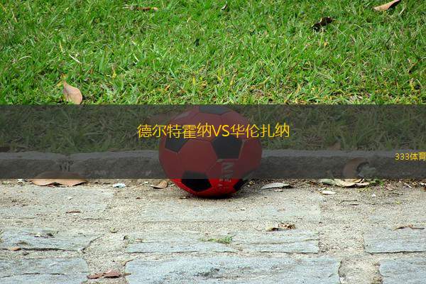 德尔特霍纳VS华伦扎纳