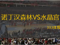 诺丁汉森林VS水晶宫