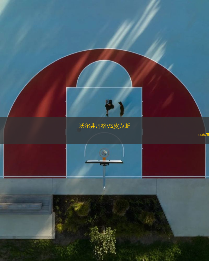 沃尔弗丹格VS皮克斯